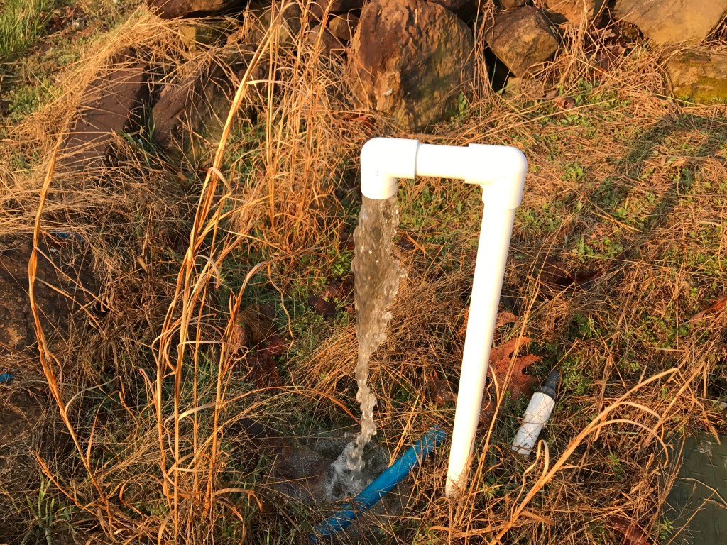 Water pouring from a white pipe into dry grass at the Living Springs Log House