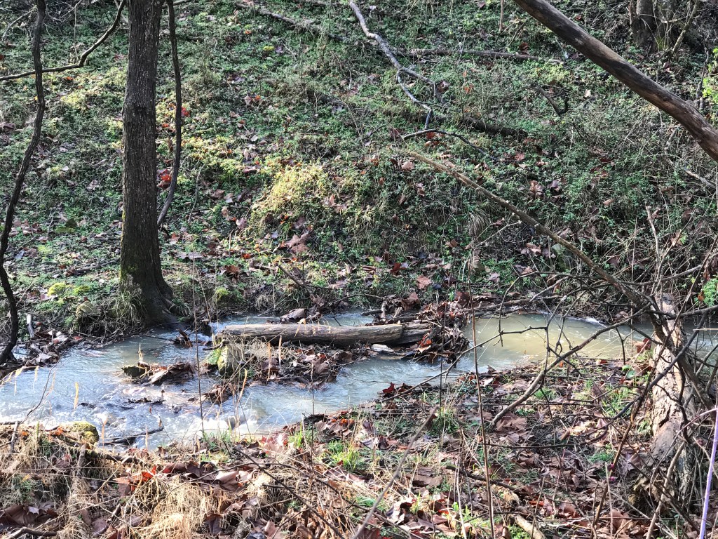 The cave spring at Living Springs Log House