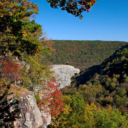 An autumn overlook above a forested valley with a rock bluff jutting out under blue sky