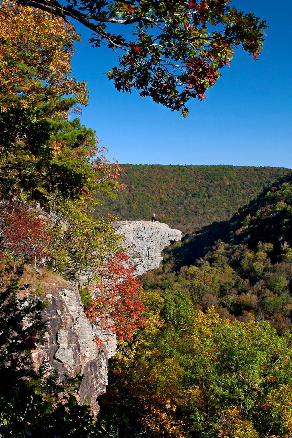 Whitaker Point in October