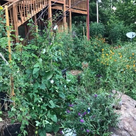 A lush hillside garden of vegetables and flowers below the log house deck, with a boulder at right