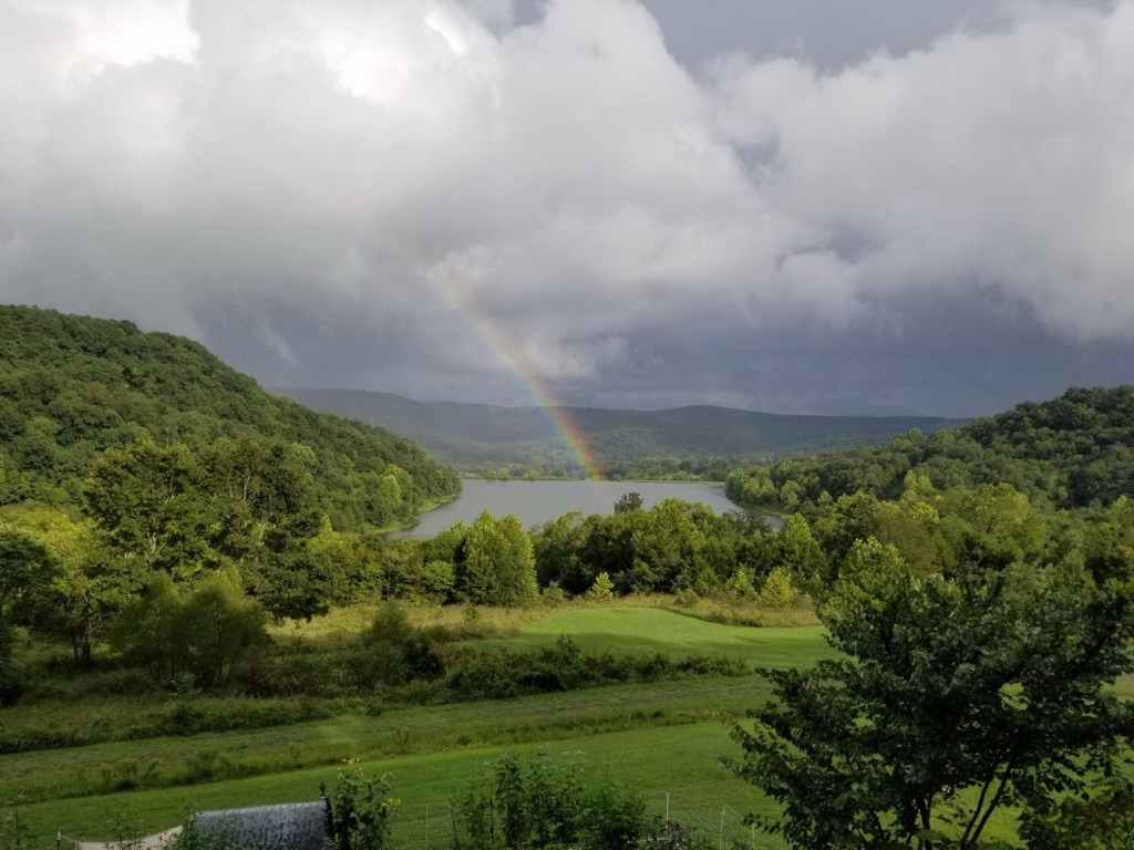 Thirsty rainbow