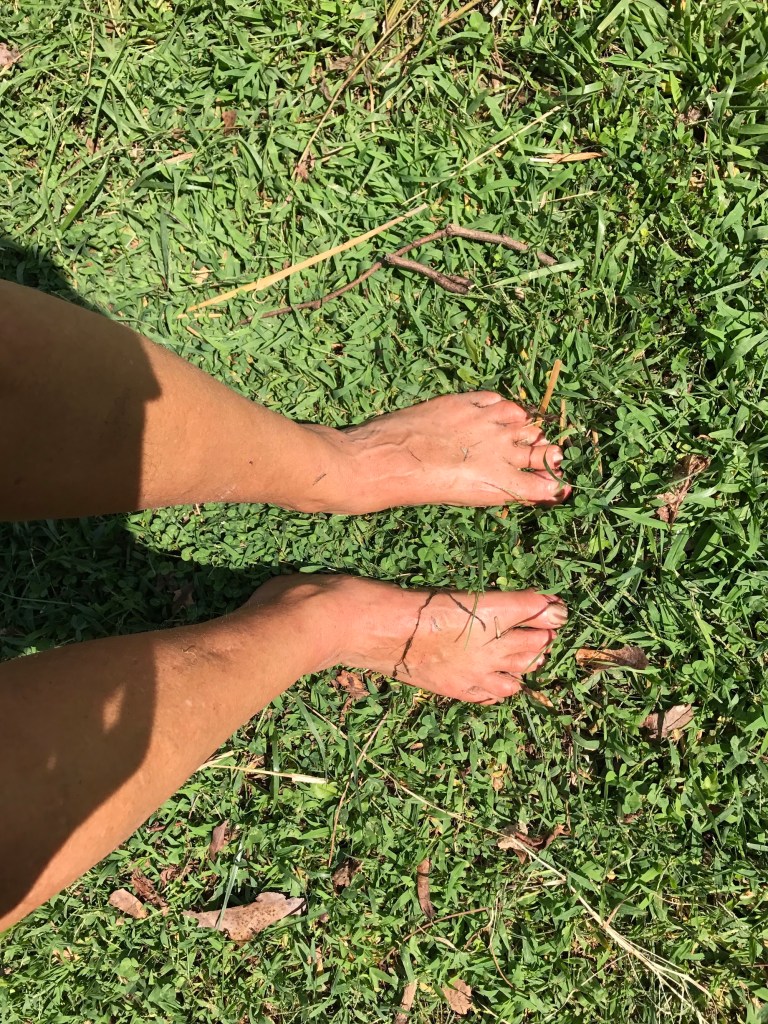 Bare feet standing in green grass and clover in the sunshine