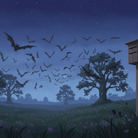 Illustration of bats flying at twilight over a meadow and trees, with a bat box on a post.