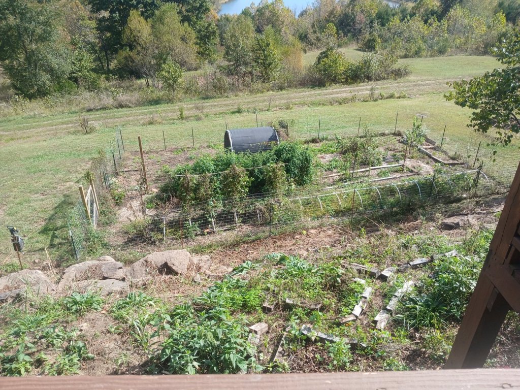 Looking down from the log house deck at the fenced vegetable garden with white low-tunnel hoops and raised beds, with comfrey and boulders in front