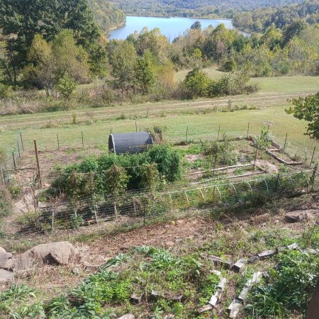 A fenced vegetable garden with white low-tunnel hoops below the log house deck, with comfrey in front and Prayer Lake and wooded hills in the distance