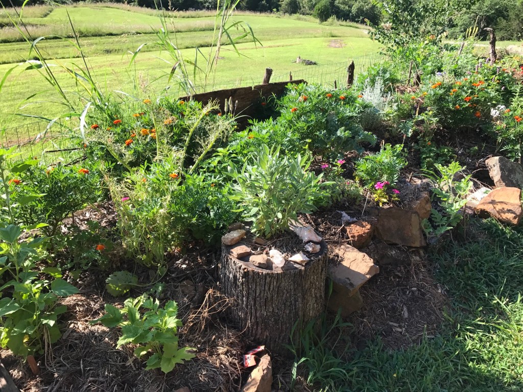 The upper garden in summer with flowers, stones, and mulch