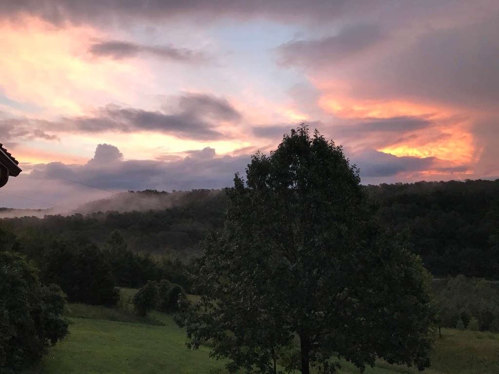 A pink and gold sunset over misty wooded hills, with a full, leafy sycamore tree standing on the lawn in front